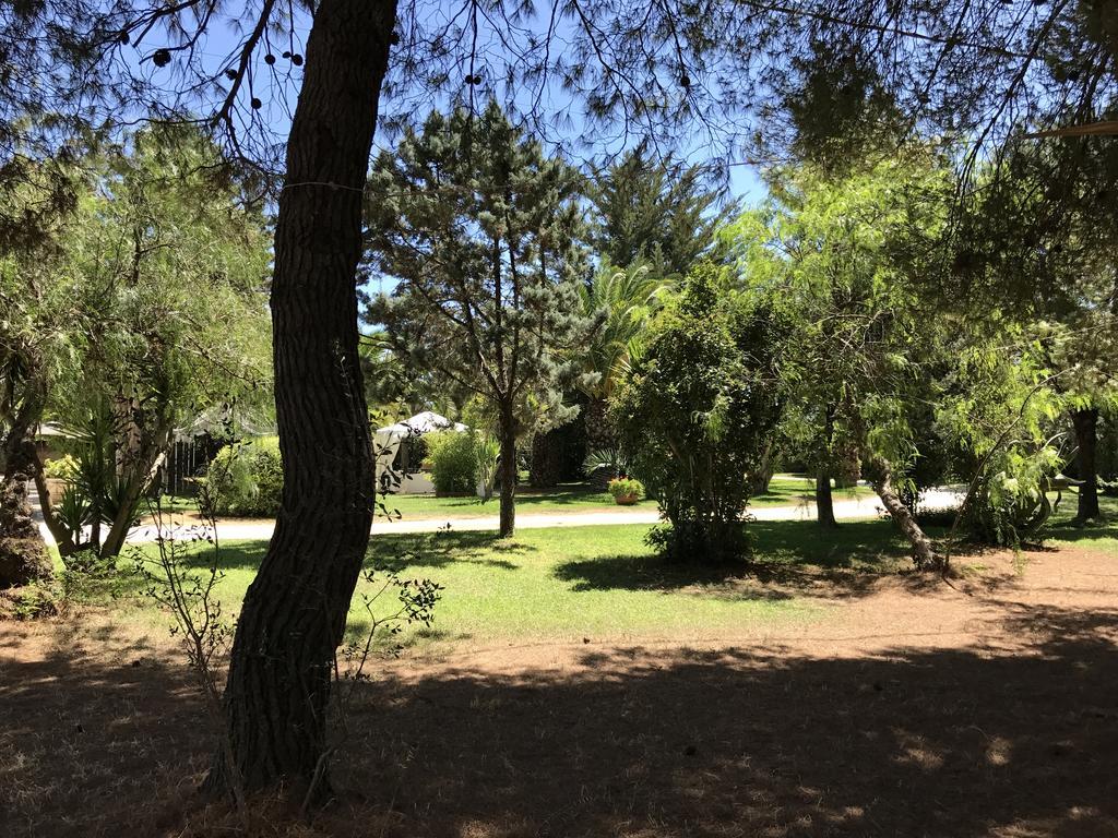 B&B Tenuta Paradisi Copertino Esterno foto