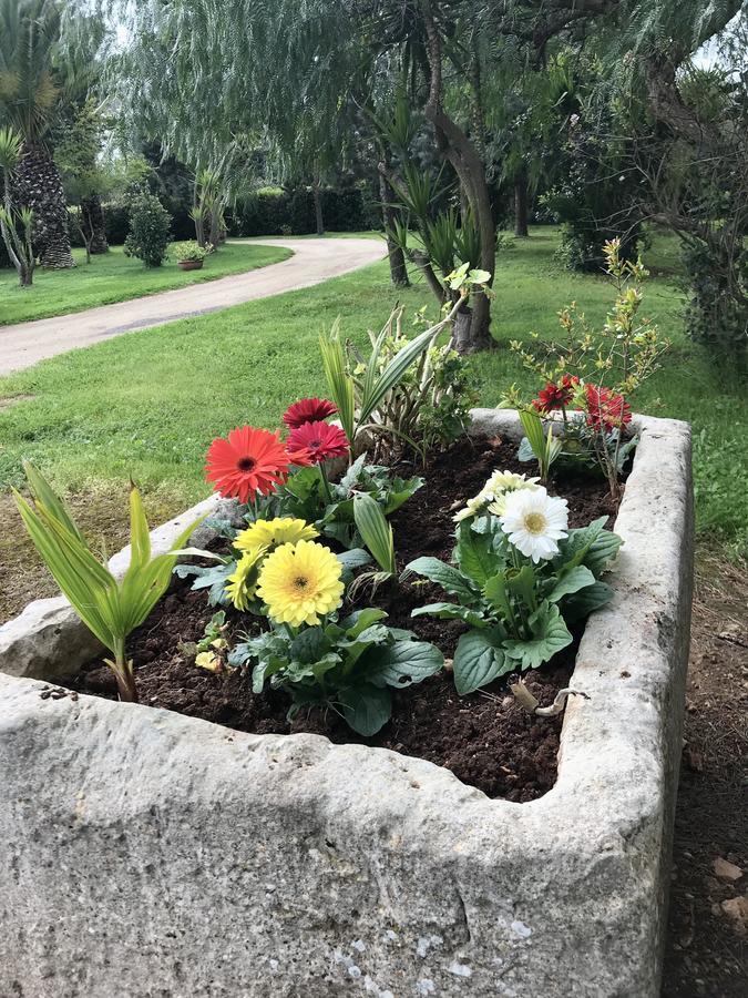 B&B Tenuta Paradisi Copertino Esterno foto